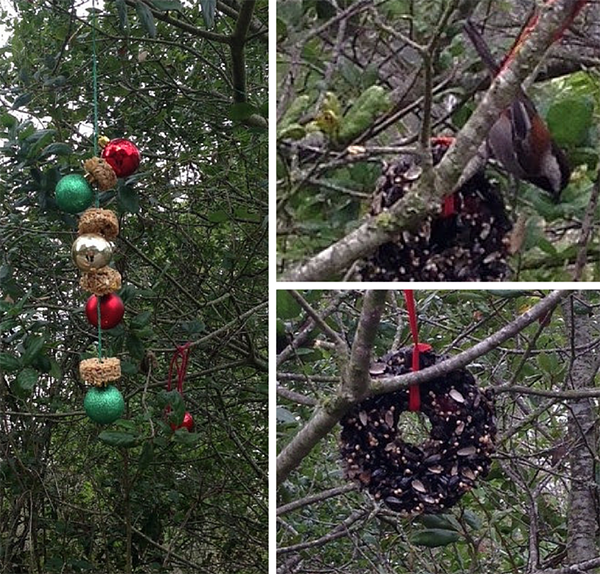 Lafayette Reservoir Holiday Tree - Bird Feeder Ornaments