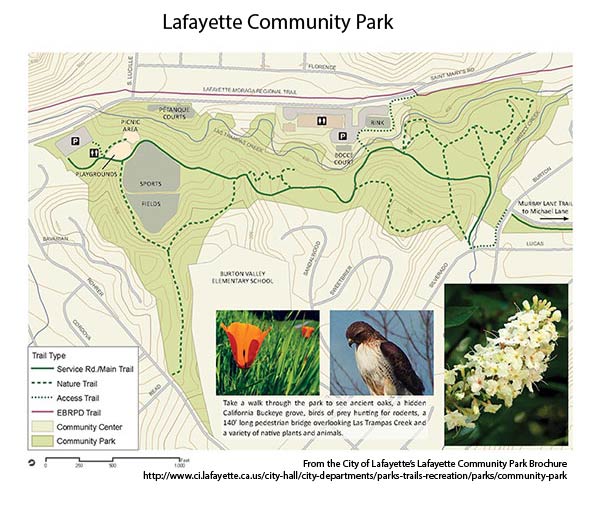 Lafayette Community Park Map - Lafayette CA