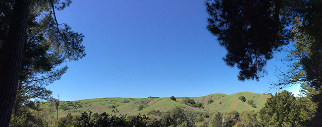 360 Shire Oaks Views - Burton Valley CA