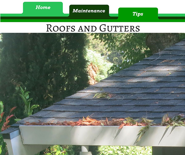 DGT Maintenance Tips - Roofs and Gutters - 1